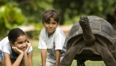North Island  - Kinder mit Riesenschildkröte